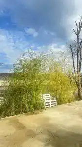 Белые ночи - 14