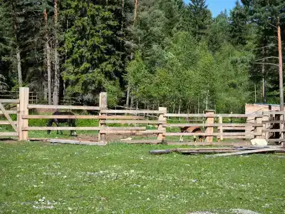 Сказка - 16