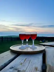 Дом Горчакова - 25