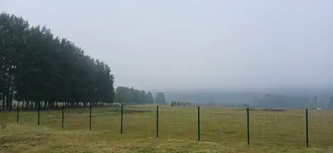 Рыбацкая Артель - 42