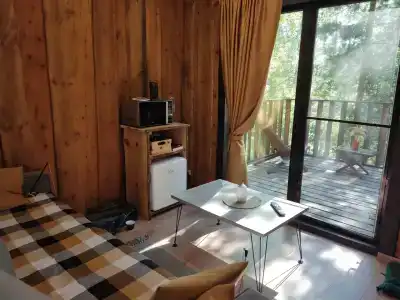 Магия леса - 15