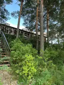 Лаванда - 19