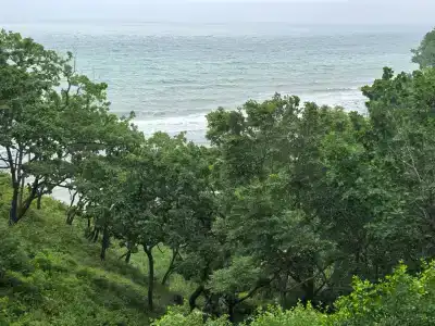 Заповедная - 20