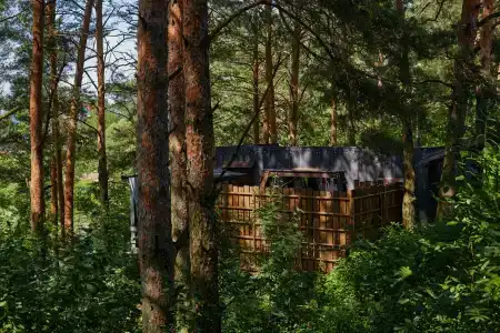 Богослово - 80