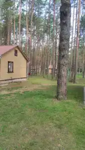 Химик - 37