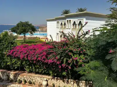 Jaz Fanara Residence - 14