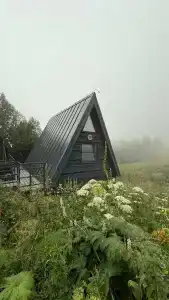 Нахазо - 46
