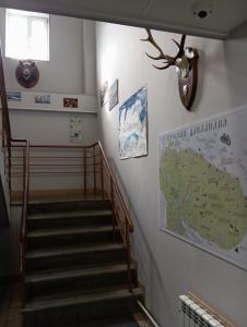 Норд Пилигрим - 22