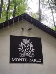 Монте-Карло - 28