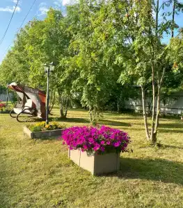 Волна - 6