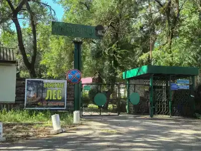 Лесовичок - 0