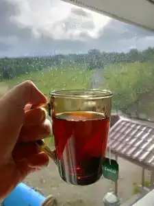 Норд Стар - 28