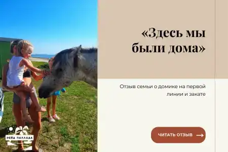 Рейд Паллада - 28