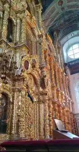 Красный Бор - 46