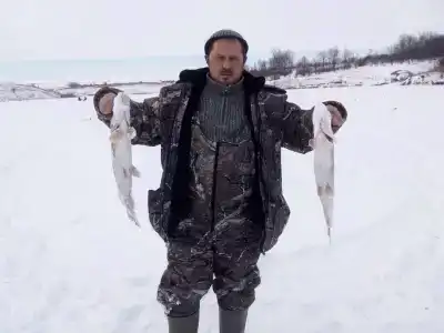 Левада - 33