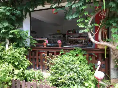 Фламинго - 9