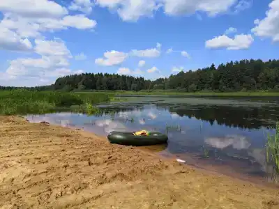 Пихтовая Аллея - 5