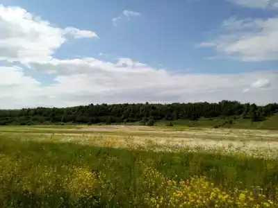 Иконки - 12