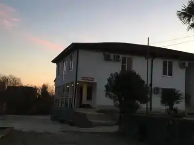 Сероводородный источник - 38