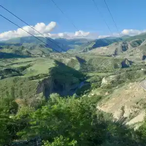 Пение птиц - 90