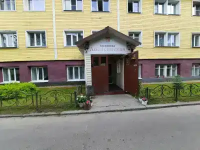 Лососинская - 4