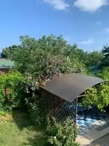 Виктори - 35