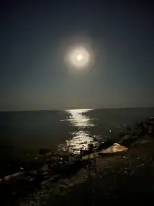 Прованс - 20