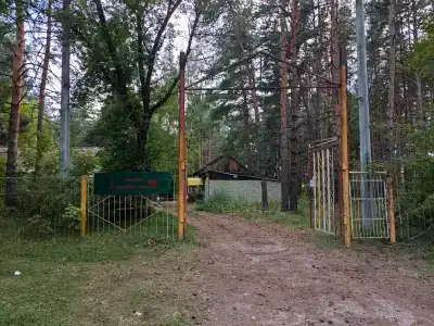 Тропа шамана - 12