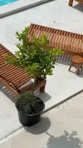 Guest House Nartaa - 23