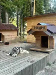 Кедр Грасс Белое Море - 76