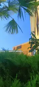 Панорама - 83