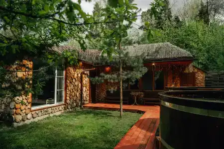 Гуси-Лебеди - 79