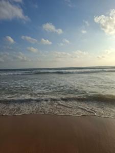 The Lucky Elephant - 18