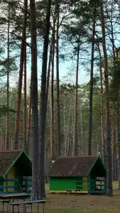 База отдыха Брестского олимпийского резерва - 8