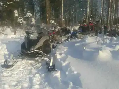 Снегоходия - 1