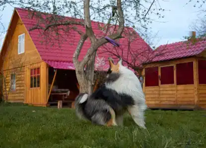 Усадьба Поповых - 1