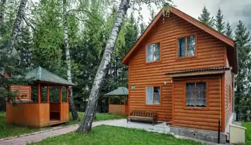 Березовая роща - 6