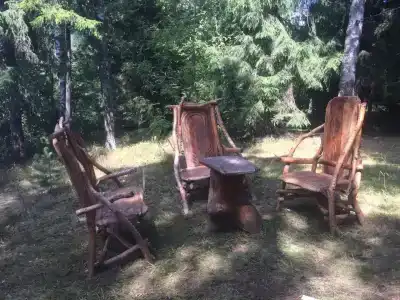 Хвойный бор - 1