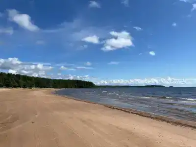 Бухта желтая - 33
