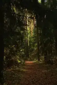 Конный Двор в Пржевальском - 38