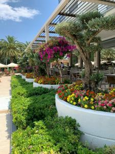 Truemars & Suites - 49