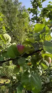 Grand Adventure - 38