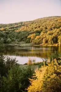 Тишина - 5