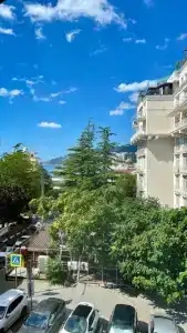 Рофе - 23