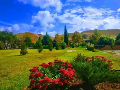 Жемчужина - 2