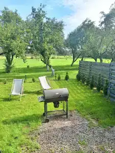 Древно - 5