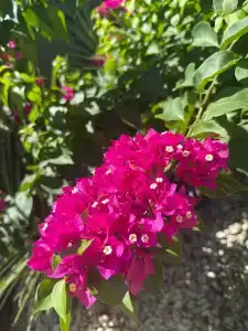 Sailor's Beach Club - 24