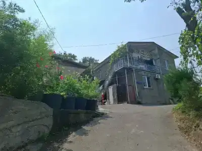 Gia - 1