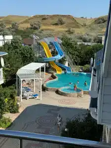 Альбатрос - 83