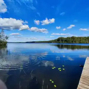 Бухта Лапиковых - 2